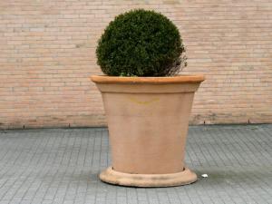 Billede